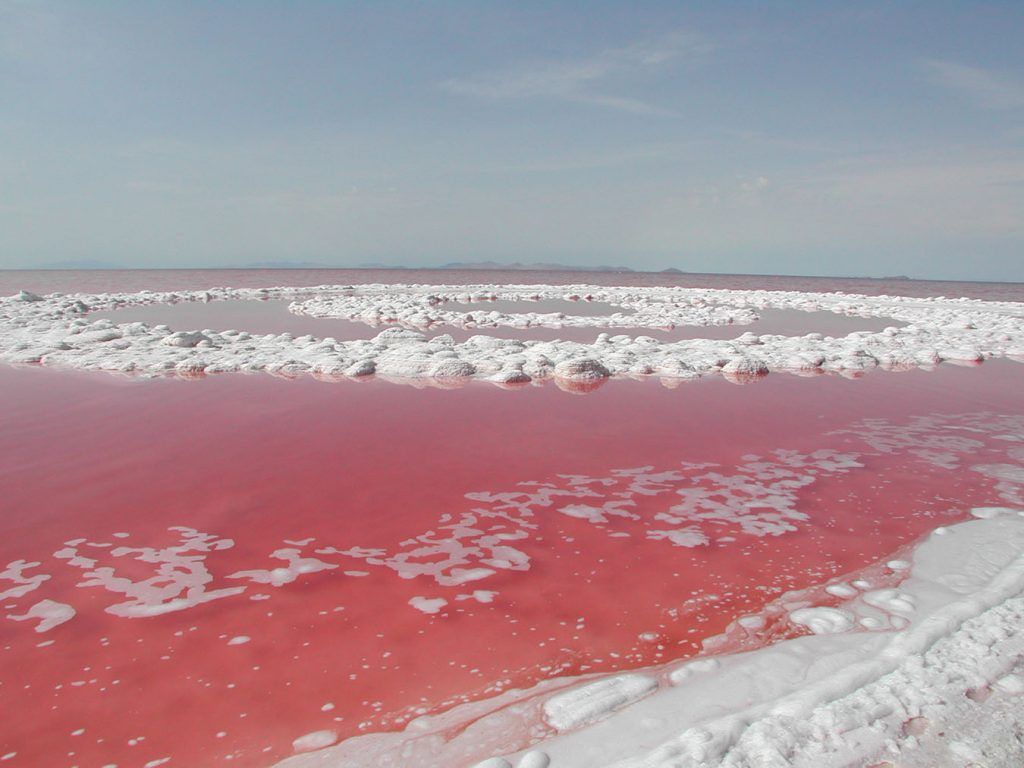 "Spiral Jetty" de Robert Smithson - eau rose au contact de l'installation