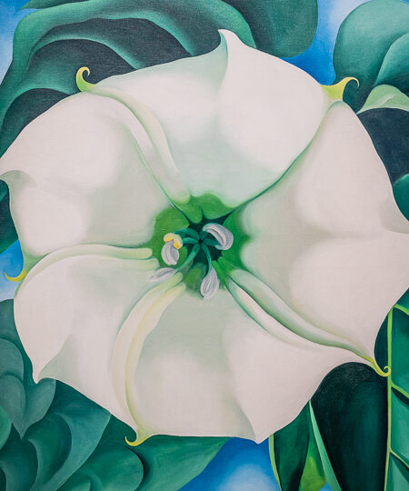 Jimson Weed/White Flower n°1, 1932