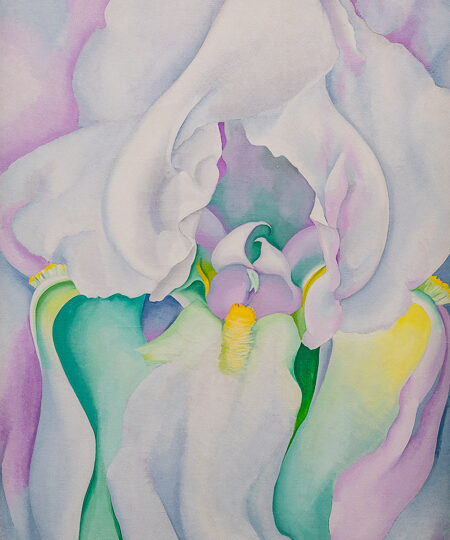 White Iris, 1930